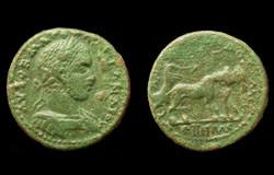 Cilicia, Severus Alexander, Dionysos Driving Biga of Panthers reverse, Rare!
